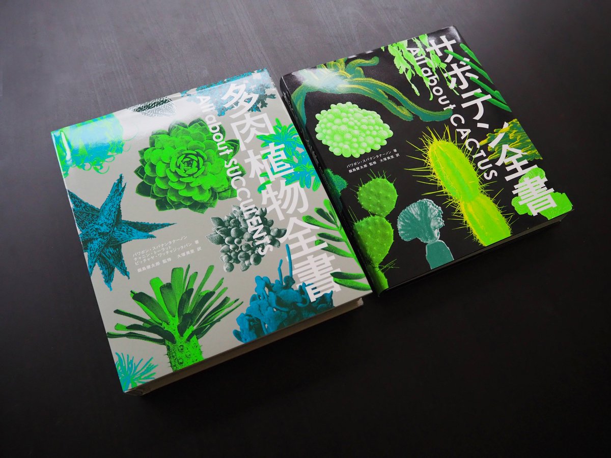 多肉植物全書 All about SUCCULENTS」(グラフィック社)のカバー