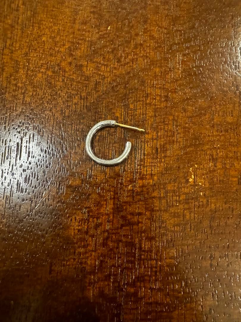 キャリアリング　片耳用　301 CAREERING キャリアリング (PLACEBO 301) 片耳用の通販 by こうき