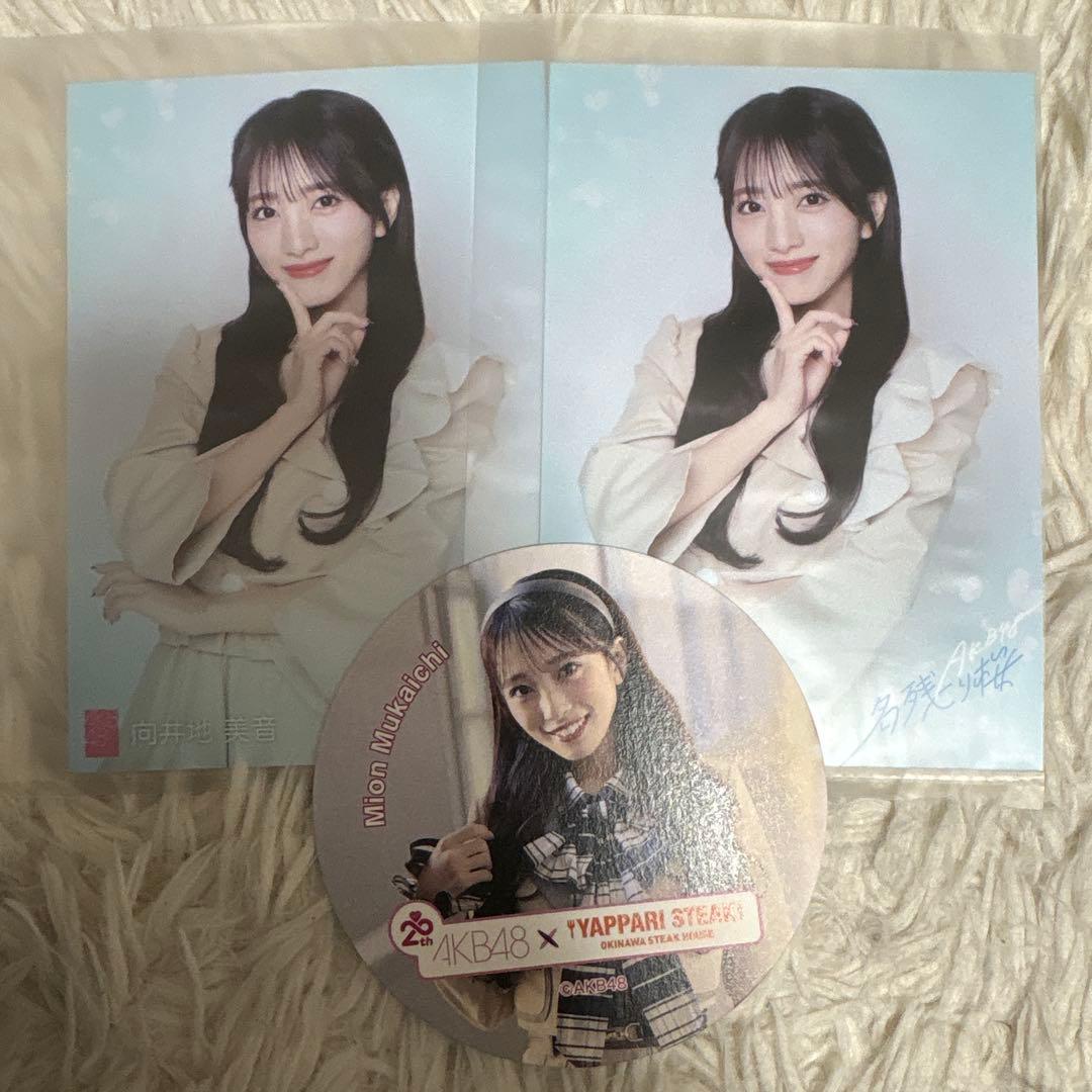 AKB48 向井地美音 名残り桜 生写真 やっぱりステーキコースター - メルカリ